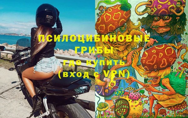 эйфоретик Алзамай