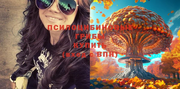 спайс Сатка