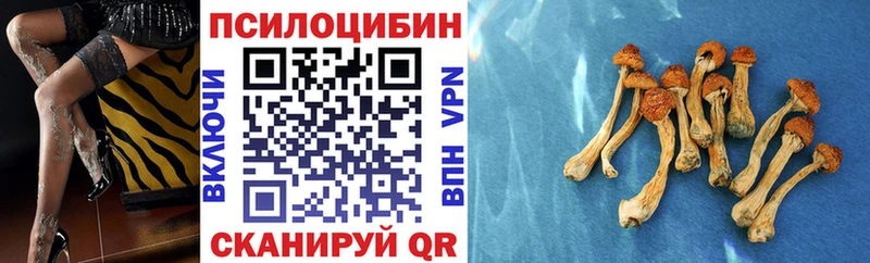 блэк спрут зеркало  Обоянь  Галлюциногенные грибы мицелий  наркотики 